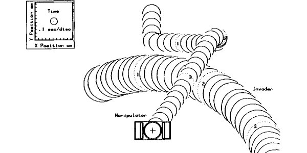 characteristic impedance